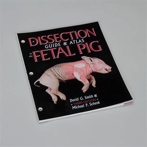 Fetal pig carolina forensic dissection student guide. - Single molecule techniques a laboratory manual.