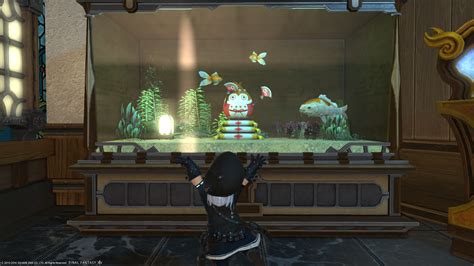 Ff14 aquarium accessories. The Eorzean Aquarium is a not-for-profit venue which brings the wonder of Eorzea's aquatic (and non-aquatic) fish right in front of your nose. Each venue is open 24/7 and has no admission fee! We have locations in multiple regions of the game, so select below to find the one nearest you! 