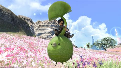 Ff14 korpokkur mount. This site is automatically curated via a Discord bot. [ Curator | XivModArchive.com#7671] If you would like to add the bot to your server, you can do so via this link. The bot will respond to the command !xma search [some text] in any public channel it can speak in. Additionally, the bot has multiple DM commands, which can be listed via the DM command help. 