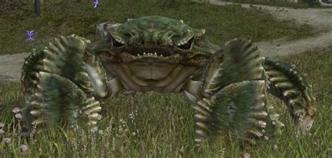 Ff14 megalocrab leg. Mogpom. Seafood. 7. 0. An algal sphere found collecting in the lone pool on the floating islet of Greensward. [Suitable for printing on small canvases.] Crafting Material. Desynthesizable: 136.00 (Culinarian) Available for Purchase: No. 