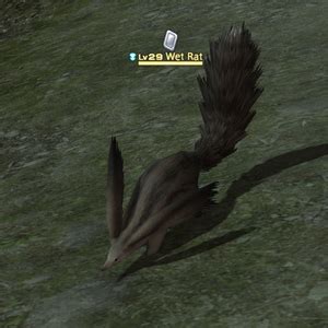 Ff14 rat tails. A zone-by-zone list of Full Active Time Events, or FATEs, found in Final Fantasy XIV. These FATEs occurred only in the Trials of the Fury and Matron versions of the Diadem and have since been removed from the game. These FATEs, known as concerted works, were only available during the Ishgardian Restoration. They would occur once the Restoration had accrued the necessary stockpile levels and ... 