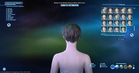 Patch. 2.1. See also: Hairstyles. The Aesthetician allows players to change their hairstyles, facial features, tattoos and other cosmetic features. Each customization session will cost 2,000 gil. To unlock the Aesthetician, players must complete the level 15 quest Beauty Is Only Scalp Deep. Players can start the quest by talking to S'dhodjbi at .... 