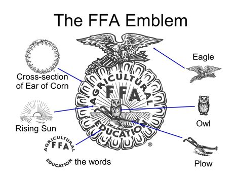 FFA EMBLEM: Owl- Long recognized for its wisdom, symbolizes the knowledge required to be successful in the industry of agriculture. Cross Section of Corn- Provides the foundation of the emblem, just has corn has historically served as the foundation crop of American agriculture. It is also a symbol of unity, as corn is grown in every state of .... 