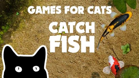 A Game of Cat and FishQuest giver: SisipuLocation: Limsa Lominsa Lower Decks (X:7, Y:14)ClassFisher: Level25Required items: 1 Shadow catfish Experience 40,80.... 