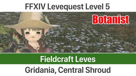 Ffxiv botany leves. Botanist Leves Level 10 - Gridania, Central Shroud 👇 More details below!@ 1:44 West Bank Story, @ 6:02 A Chest of Nuts@ 10:02 Digging Deep, @ 13:32 The Hear... 