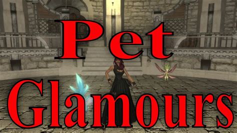 A brief explanation on how summoner pet sizes work. A follow up to my video on pet and egi glamours. When you set your glamours everyone else sees them, howe.... 
