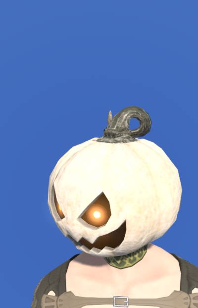 Head. From Final Fantasy XIV Online Wiki. Jump to navigation Jump to search. Head is an armor slot. Contents. 1 Level 1 - 10; 2 Level 11 - 20;. 