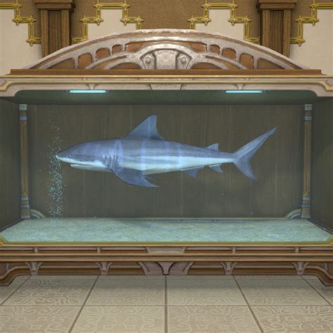 Ffxiv silver shark. Things To Know About Ffxiv silver shark. 