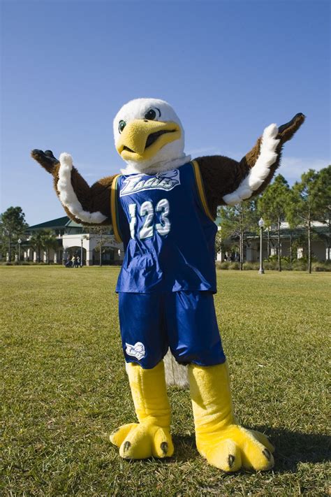 Fgcu future eagle. FGCU had already won four national titles - 2012, 2016, 2018 and 2019 - so their standards were set pretty high, then…heartbreak. The Eagles lost 3-2 to the Marauders, giving UMary back-to-back ... 