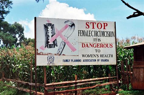 Fgm grandin road. Things To Know About Fgm grandin road. 