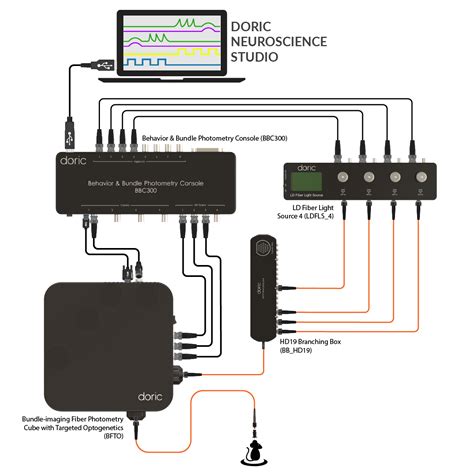 Fiber photometry doric.  The Bundle-imaging Fiber Photometry with Targeted Optogene...