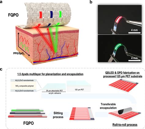 Fiber-based quantum-dot pulse oximetry for wearable health …