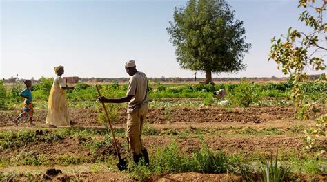 Fiche de projets d'aménagements hydro agricoles en mauritanie. - Tesa micro hite 3d user manual.