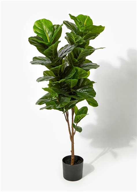 Fiddle leaf fig silk plant. .  <a href=https://dev-flex-move.pantheonsite.io/l...
