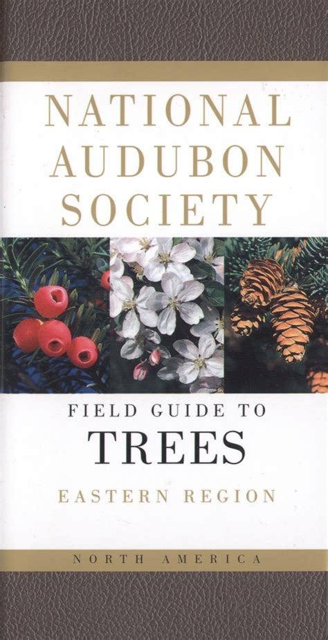 Field Guide Nth American Trees