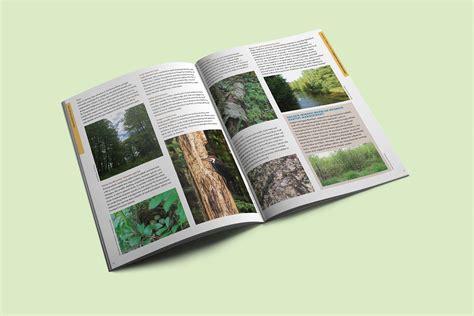 Field Guide on Behance