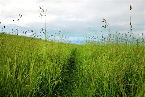 Field Paths