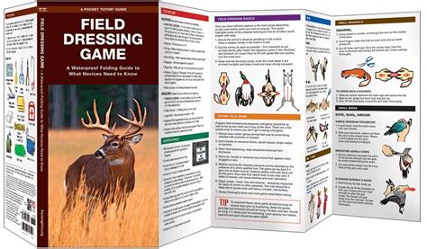 Field dressing game a waterproof folding guide to what a novice needs to know duraguide series. - Science of acupuncture and moxibustion textbook for tcm higher education.