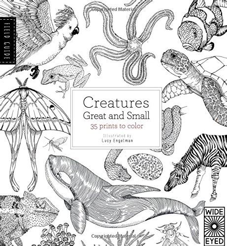 Field guide creatures great and small 35 prints to color. - Guía de configuración de guitarra schecter.