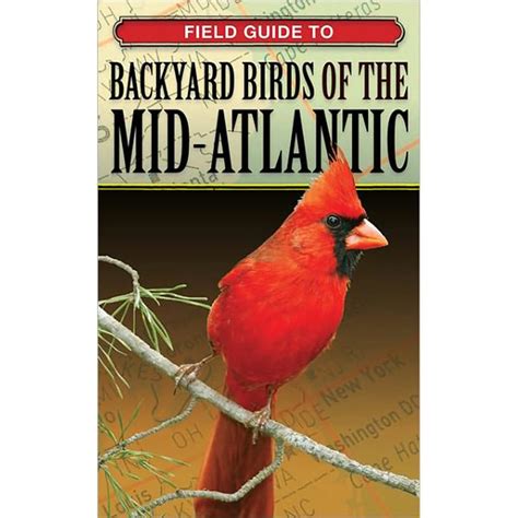 Field guide to backyard birds of the mid atlantic. - Ccna icnd2 640 816 official cert guide.