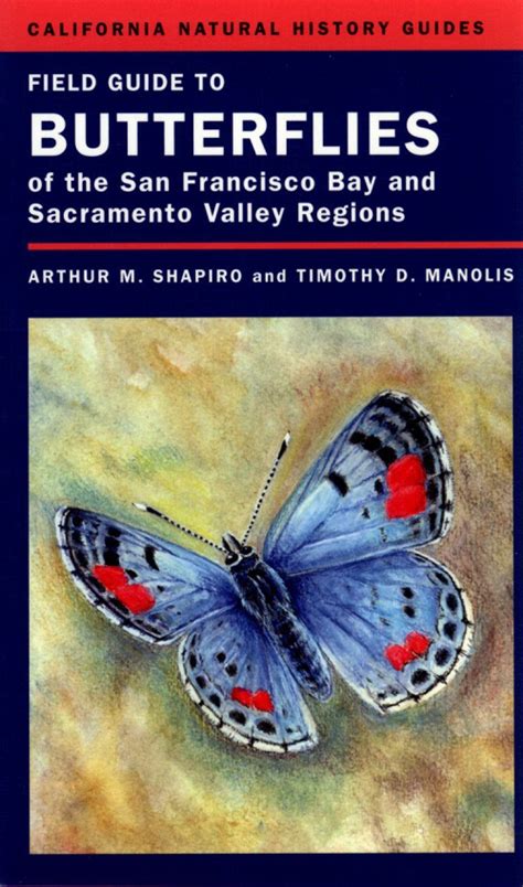 Field guide to butterflies of the san francisco bay and. - Bmw 525 tds e39 service repair manual.
