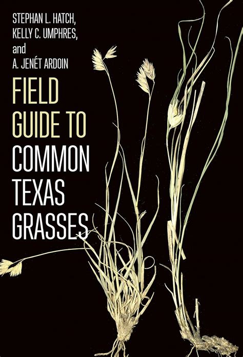 Field guide to common texas grasses texas a m agrilife research and extension service series. - Manual de usuario del carburador maruti 800.