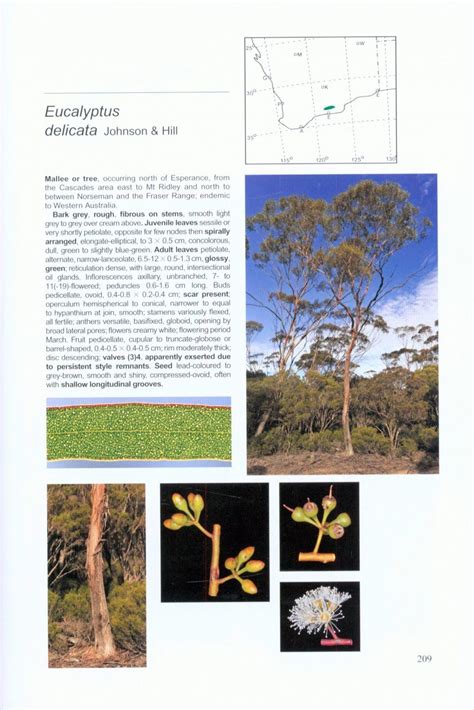 Field guide to eucalypts vol 2 south western and southern australia. - Etude de la langue ce2 guide pedagogique.