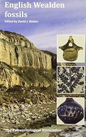 Field guide to fossils english wealden fossils no 14 palaentology. - Il manuale della cassetta degli attrezzi dell'elettricista arco s sul lavoro.