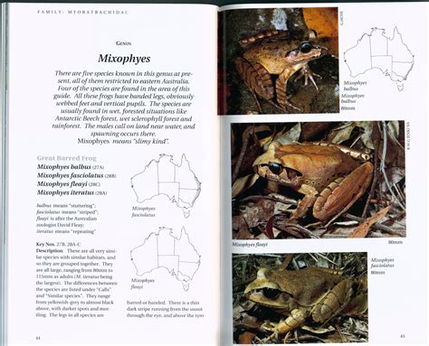 Field guide to frogs of australia from port augusta to fraser island including tasmania. - Study guide for acs inorganic exam.