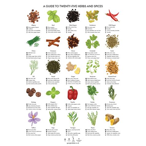 Field guide to herbs spices field guide to herbs spices. - Siemens gas insulated switchgear 8da manual.