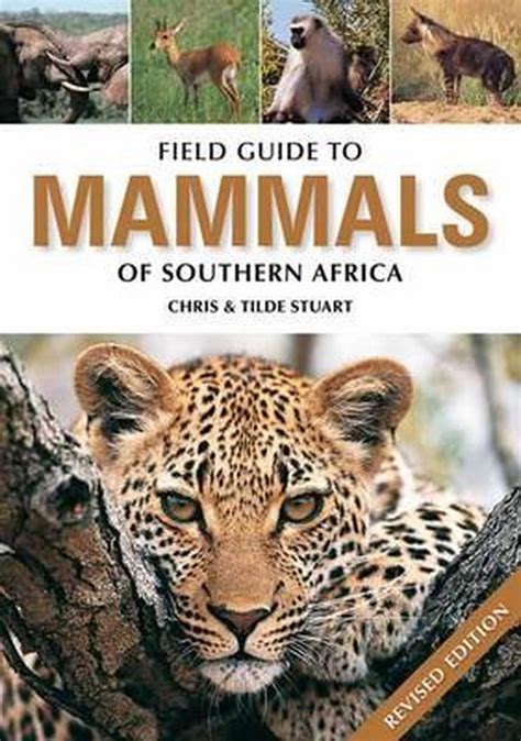 Field guide to mammals of southern africa by chris stuart. - Barokowy klasztor św. macieja we wrocławiu.