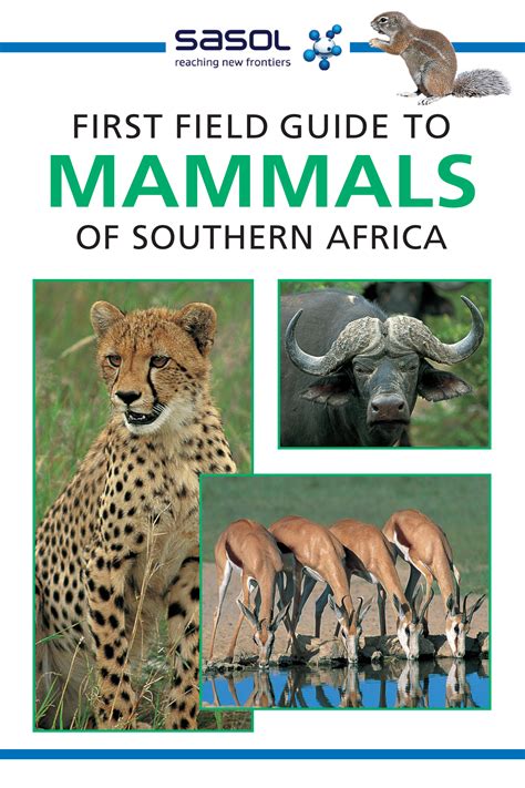 Field guide to mammals of southern africa field guide to. - Bobcat skid steer maintenance manual valve.
