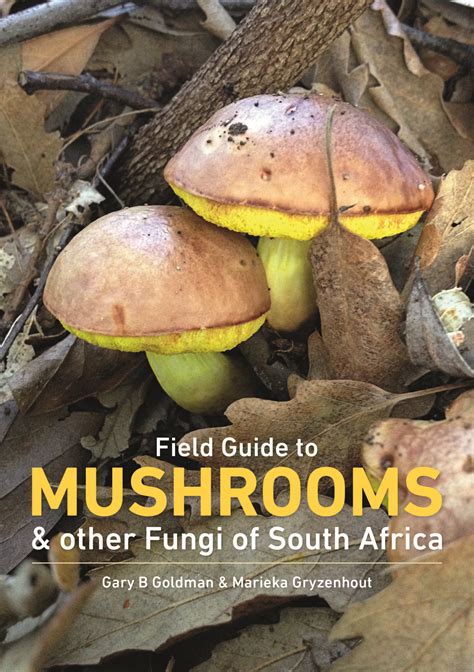 Field guide to mushrooms in sa. - Repair manual 88 yamaha exciter 570.
