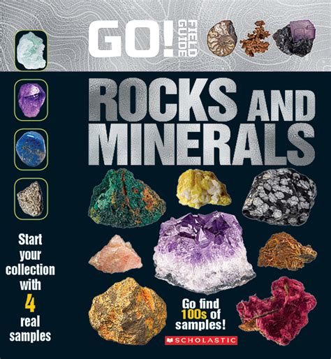 Field guide to rocks and minerals of the world field. - The dog owners manual by david brunner.