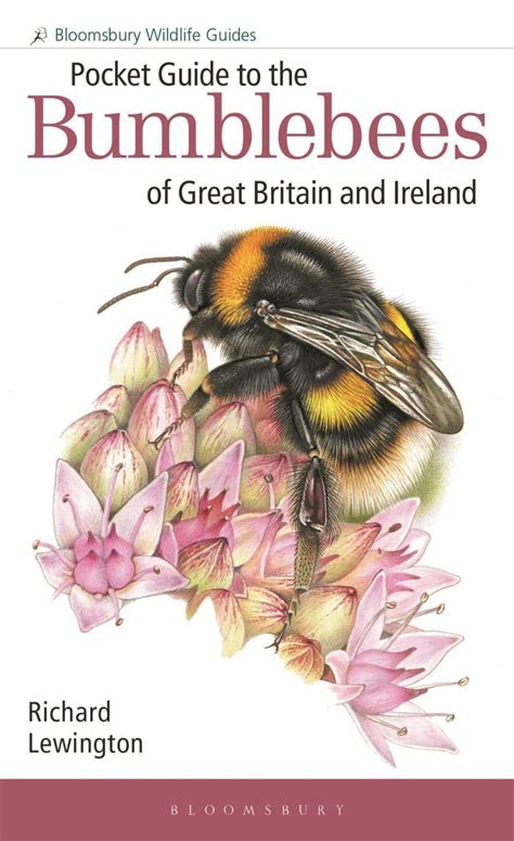 Field guide to the bumblebees of great britain and ireland. - 5l hiace minibus engine repair manual.