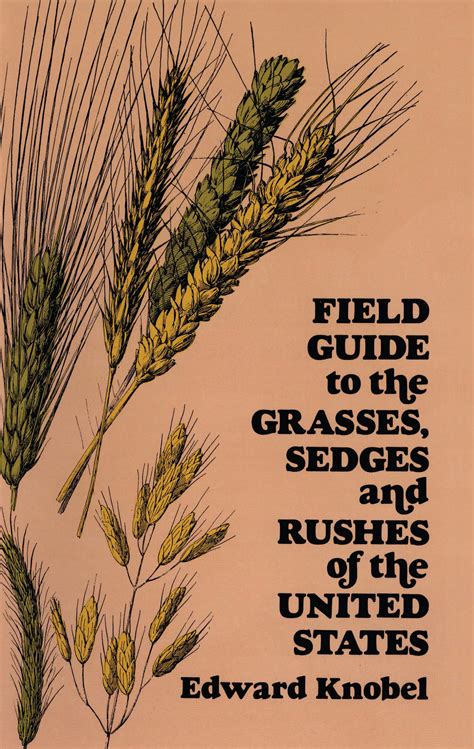 Field guide to the grasses sedges and rushes of the united states. - Skybox f3 1080p hd user manual.