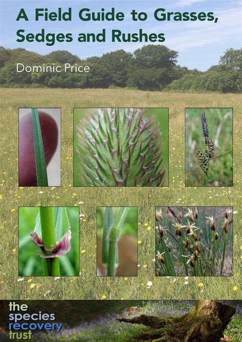 Field guide to the grasses sedges and rushes of the. - A manual of forensic chemistry by william jago.