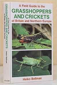Field guide to the grasshoppers and crickets of britain and northern europe collins field guide. - Etre conseiller général au xxie siècle.