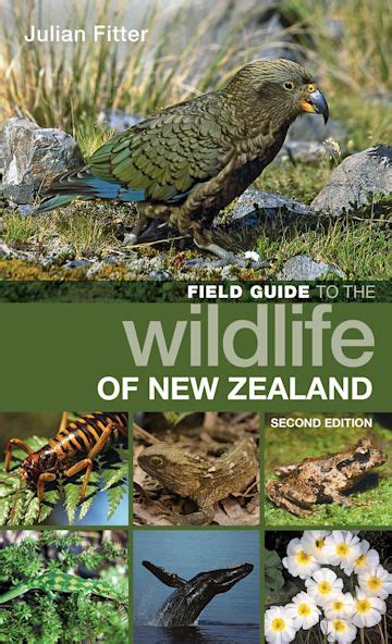 Field guide to the wildlife of new zealand field guides. - Yari yari. mamá olúa ; y cañaveral..