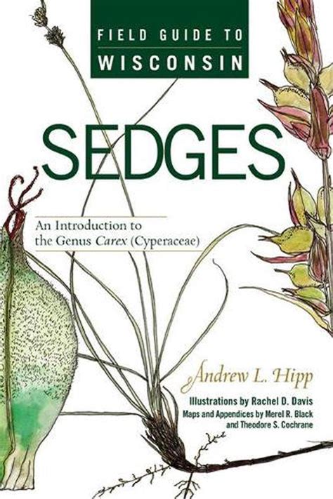 Field guide to wisconsin sedges an introduction to the genus carex. - Cbse entre jeunes french together guide.