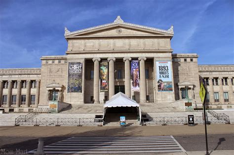 Field museum in chicago. The Field Museum is a natural history museum in Chicago, and is one of the largest museums in the world. Museum exhibits range from earliest fossils to past and ... 