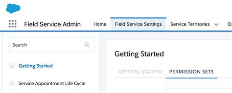 Field service admin app.  Click Getting Started and then Permission Sets.  Assign ...