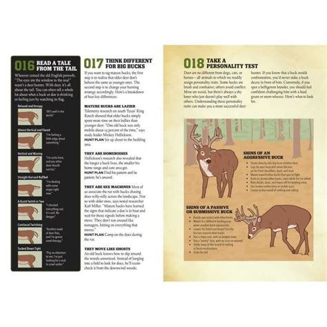 Download Field  Streams Guide To Hunting Whitetail By Scott Bestful