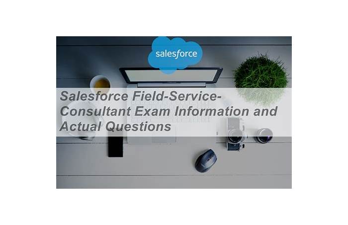 Test Field-Service-Consultant Book