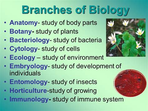 Fields of Biology Basic Biology