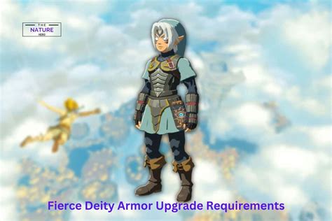 Fierce deity armor totk. Things To Know About Fierce deity armor totk. 