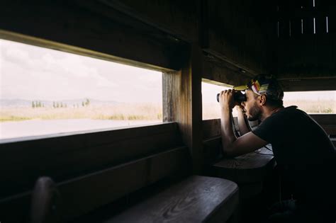 Fife - Scottish Ornithologists