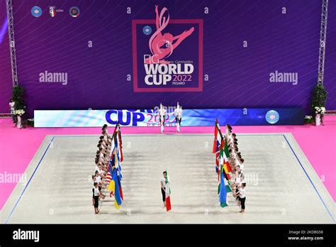 Fig World Cup