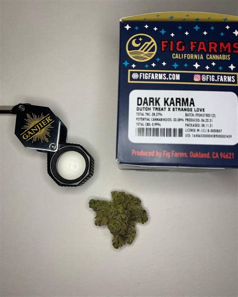 Fig farms dark karma review. Look at that frosting. And very unique genetics. We don't get a ton of Dutch Treat or Strange Love crosses that I'm aware of. Perhaps Love Affair by Rythm, I honestly don't know what that is a cross of. When I first opened it I got sweet oatmeal. Now I'm getting sweet hay. So I think I'm just tripping. 