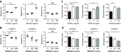 Fig. 6 CXCR2 ligands induce myeloid-derived suppressor cell...